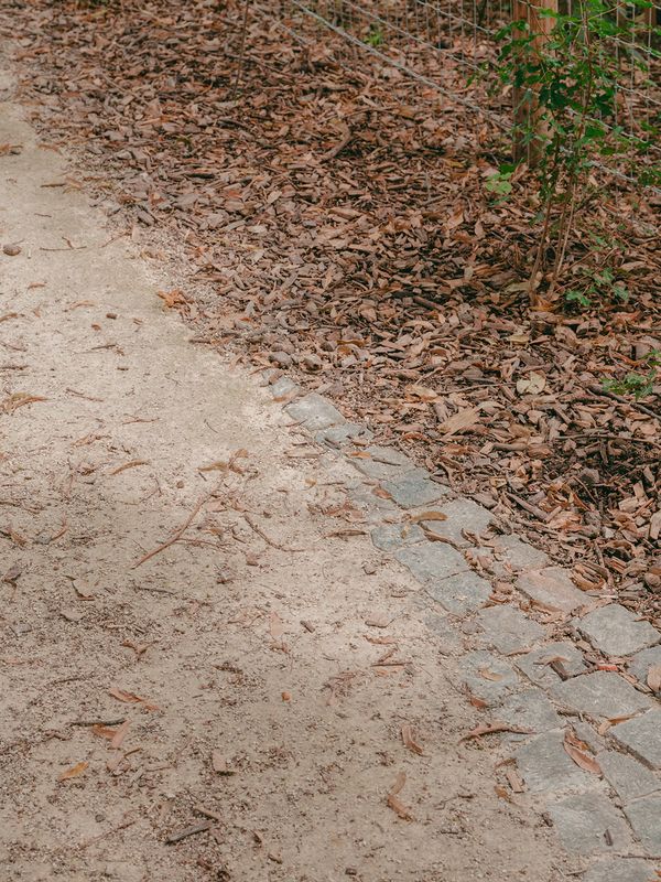 Forêt urbaine du quartier de l'Étang – intégration dans l'existant